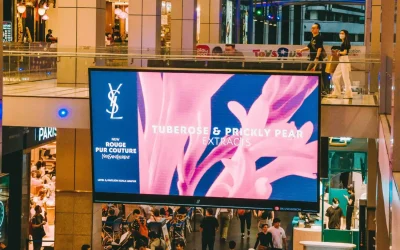 Digital Signage Placement Guide: Where Should Business Displays Go?